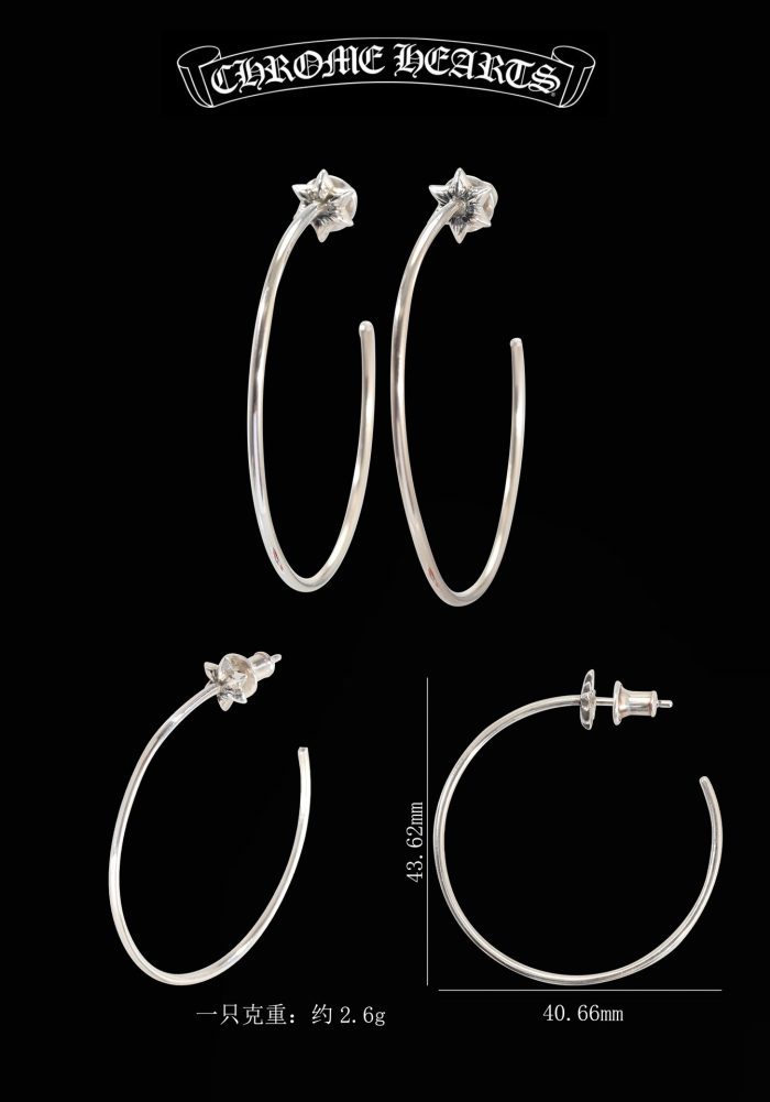 クロムハーツ Chrome Hearts HOOP CHプラス スター フープピアス シルバー925 - 画像 (12)