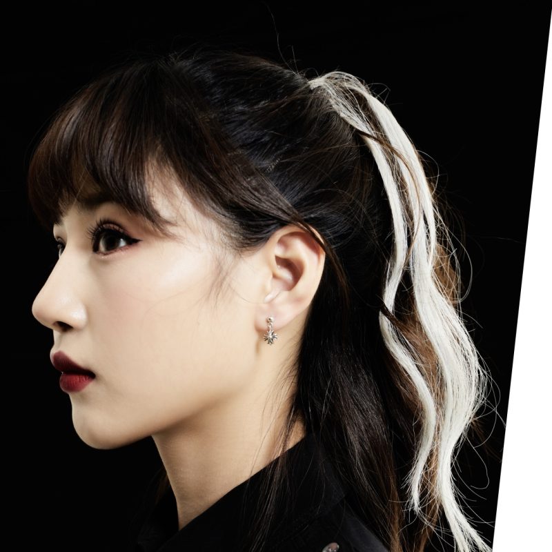 クロムハーツ Chrome Hearts TNY E CH PLS 1 シルバータイニードロップピアス