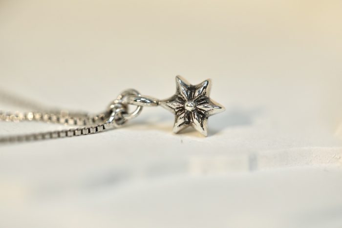 クロムハーツ Chrome Hearts JOJO PST PLSBS R イヤリング シルバー925 ピアス - 画像 (7)