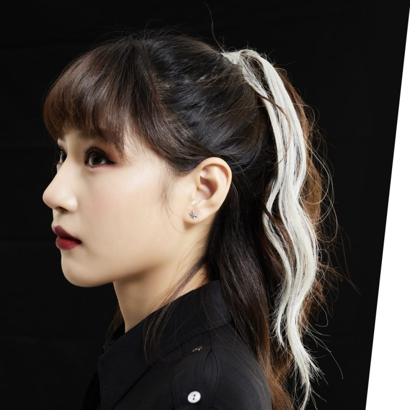 クロムハーツ Chrome Hearts CO STAR スタッドピアス シルバー925の星が耳元で煌めく
