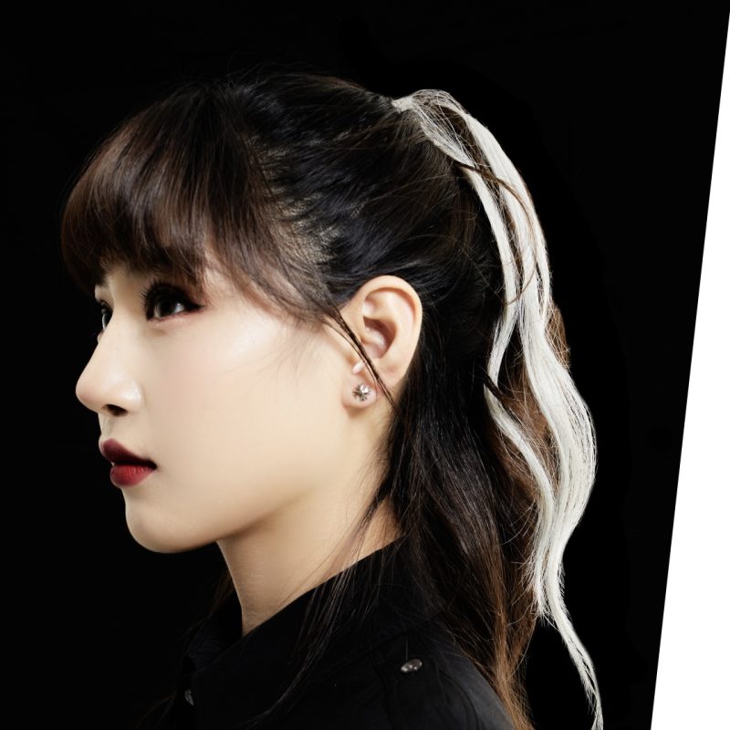 クロムハーツ Chrome Hearts No2 ch pls CHプラス ピアス シルバー925で輝く個性